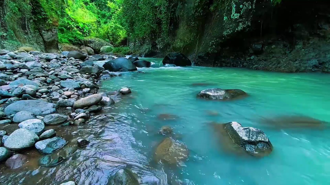 Flowing Stream Water Sounds, Mountain Forest River, Sleeping