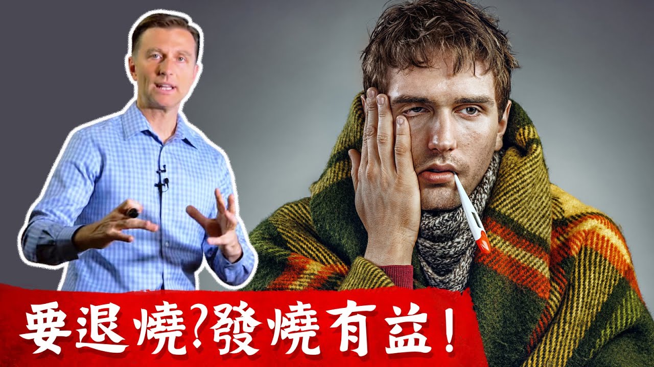 千萬不要急退燒？發燒好處與自然療法,不同體溫的處理 , 柏格醫生dr berg