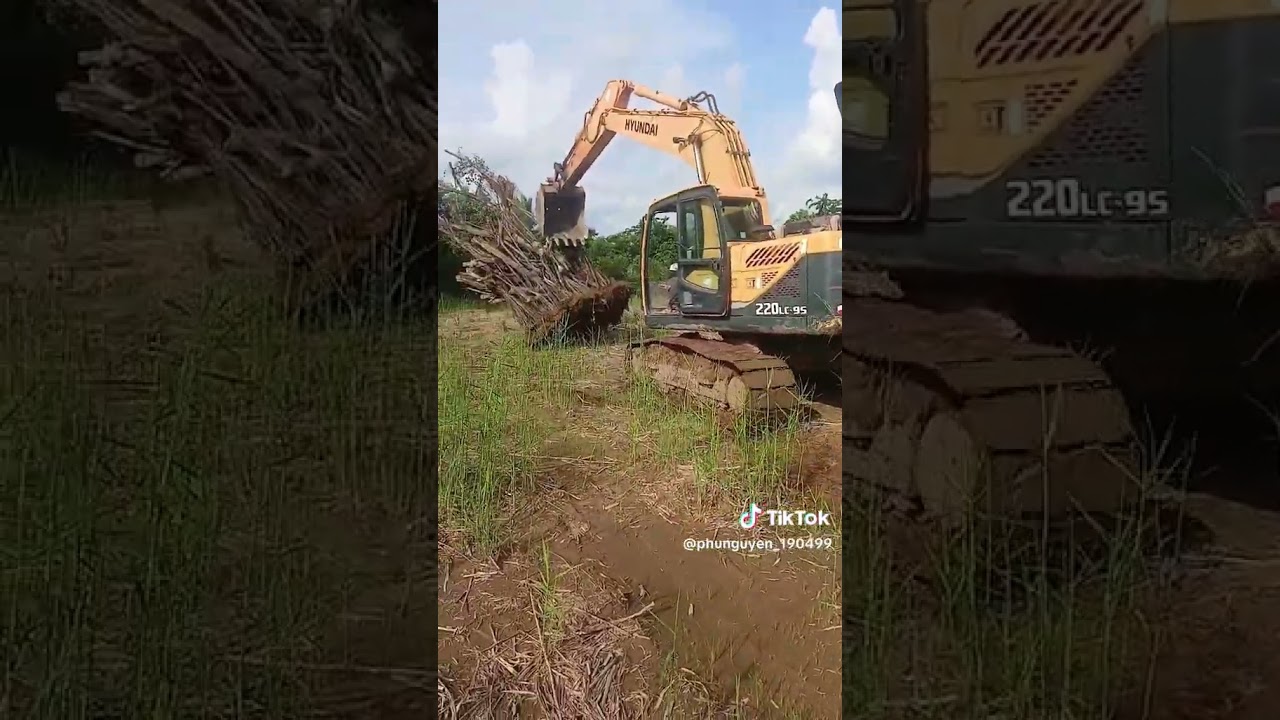 #xcavator #maydao