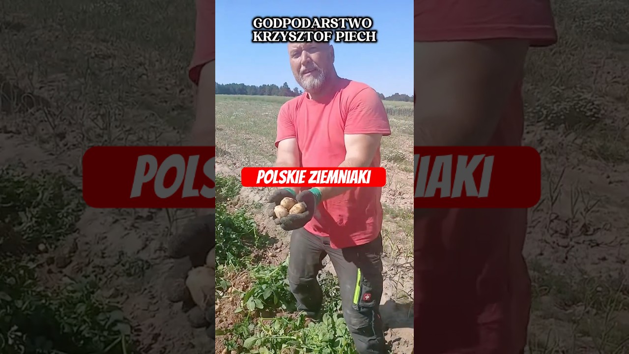 THIS IS WHAT REAL POTATOES LOOK LIKE!
