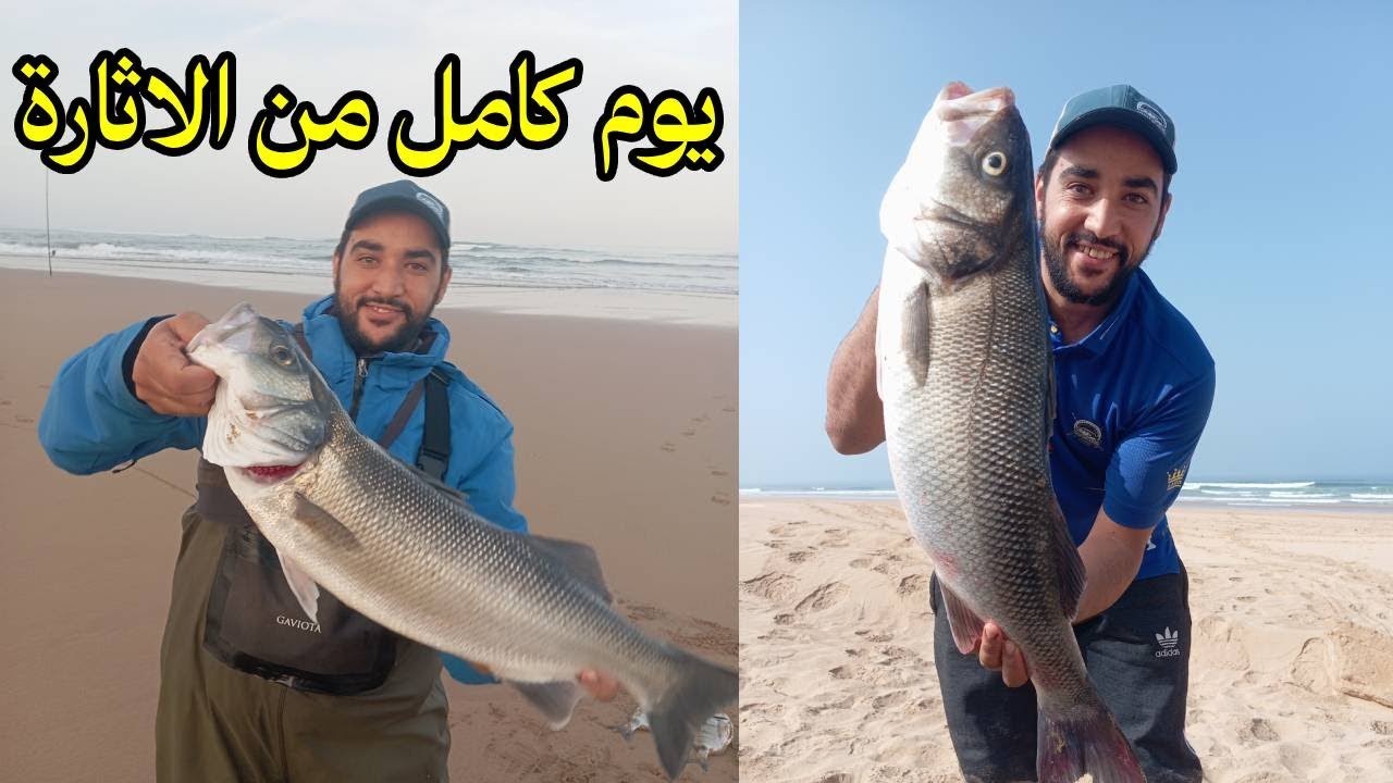 رحلة البحث عن ملك الاسماك : الجزء التالث ( يوم كامل من الاثارة)