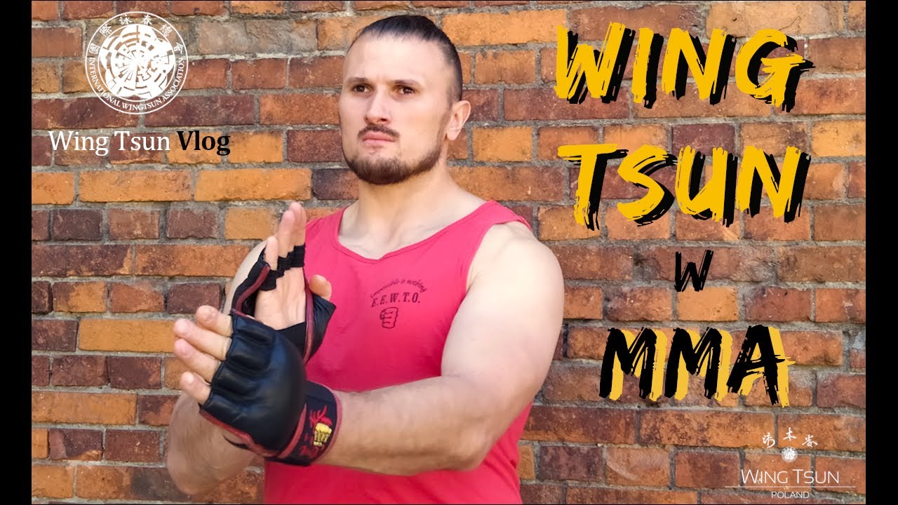 Wing Tsun w MMA - Wing Tsun Kung Fu Vlog odc. 33