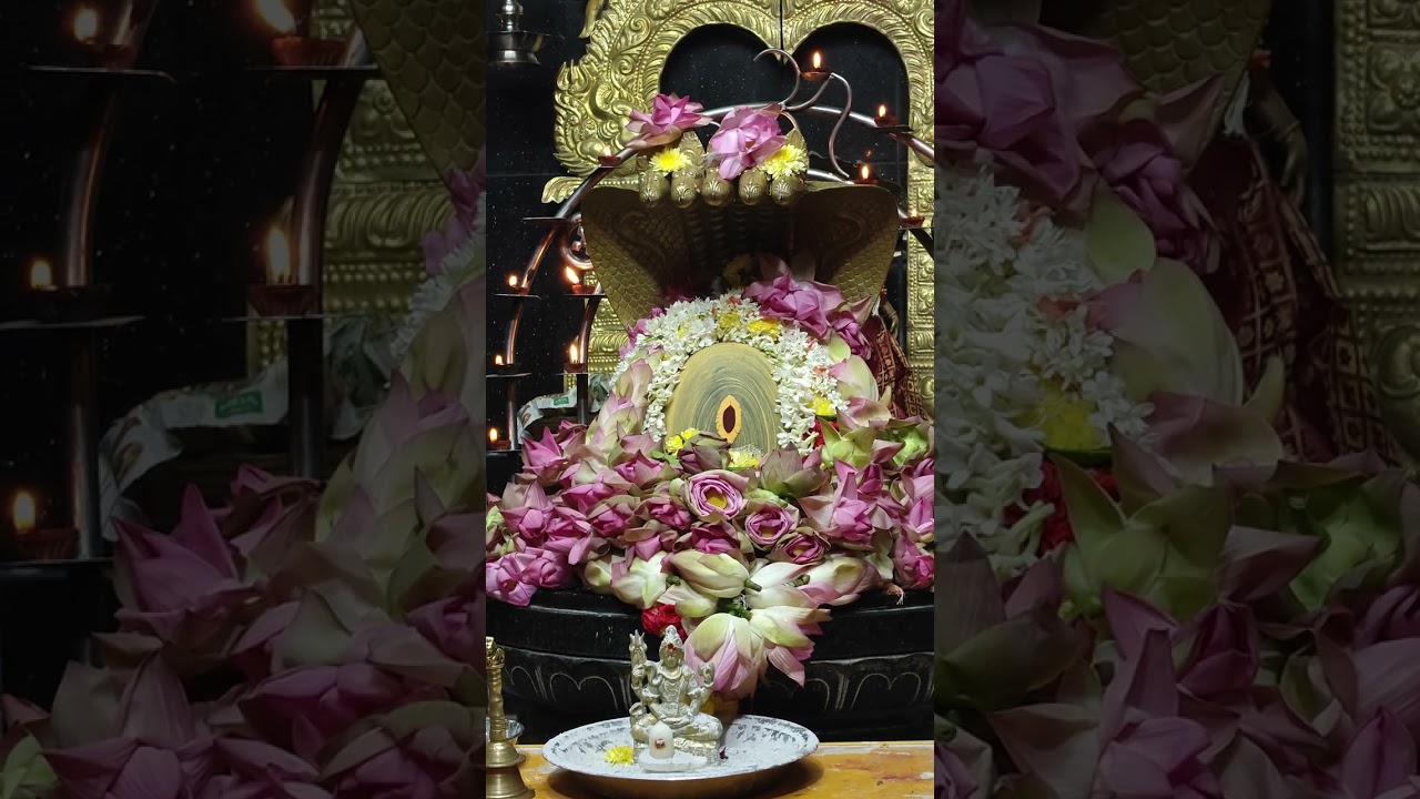 మాఘమాసం సోమవారం ప్రదోషకాల పూజా కార్యక్రమం రాజరాజేశ్వర దేవస్థానం శాస్త్రి నగర్, ప్రొద్దుటూరు 
