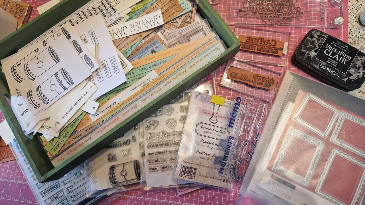 PROJECT LIFE: Préparation journaling