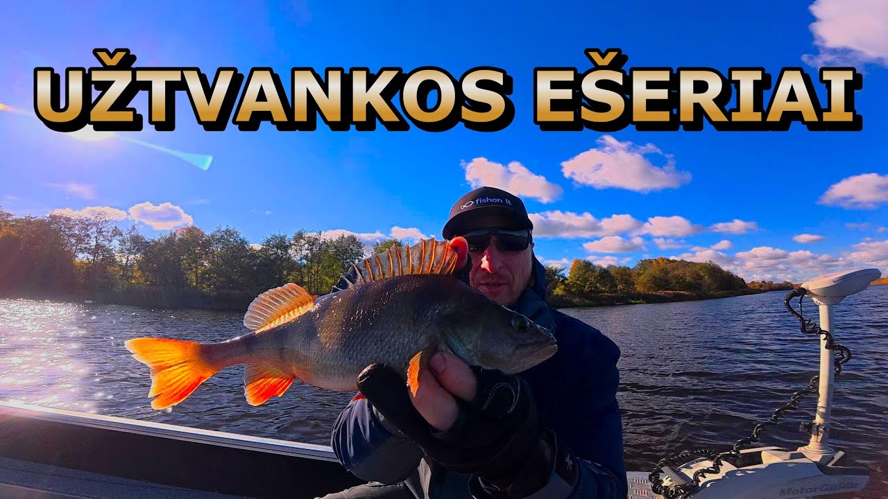E&Scaron;ERIŲ ŽŪKLĖ ANT VĖŽIUKŲ! JIE JUOS RIJO ,KAIP PASIUTĘ!