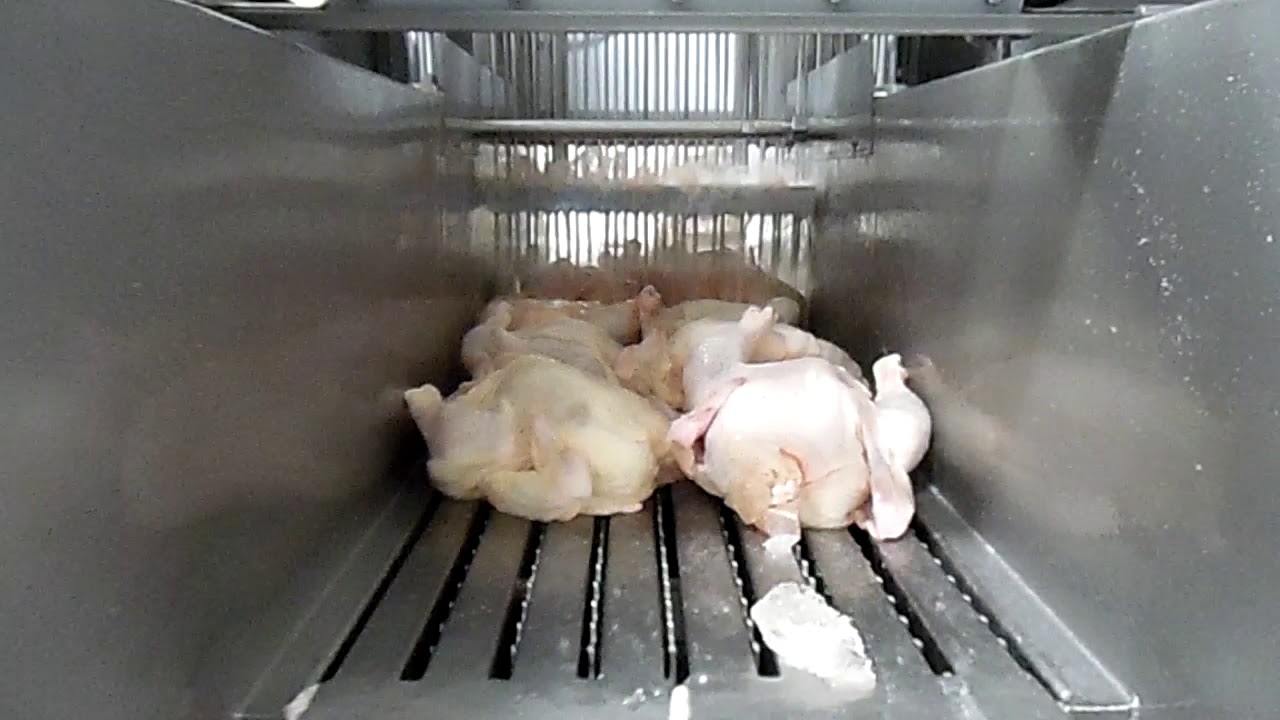 Promark’s MSK-32 & MSK-56 Brine Injection Machines Chicken