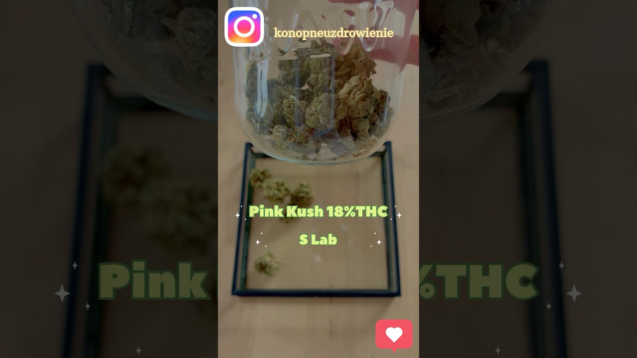 Pink Kush 18%, S Lab