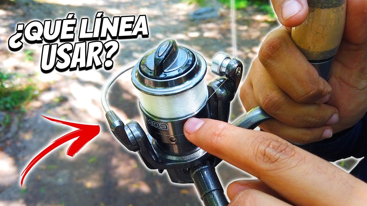Líneas para Pescar | Guía Para Pescar Lobina