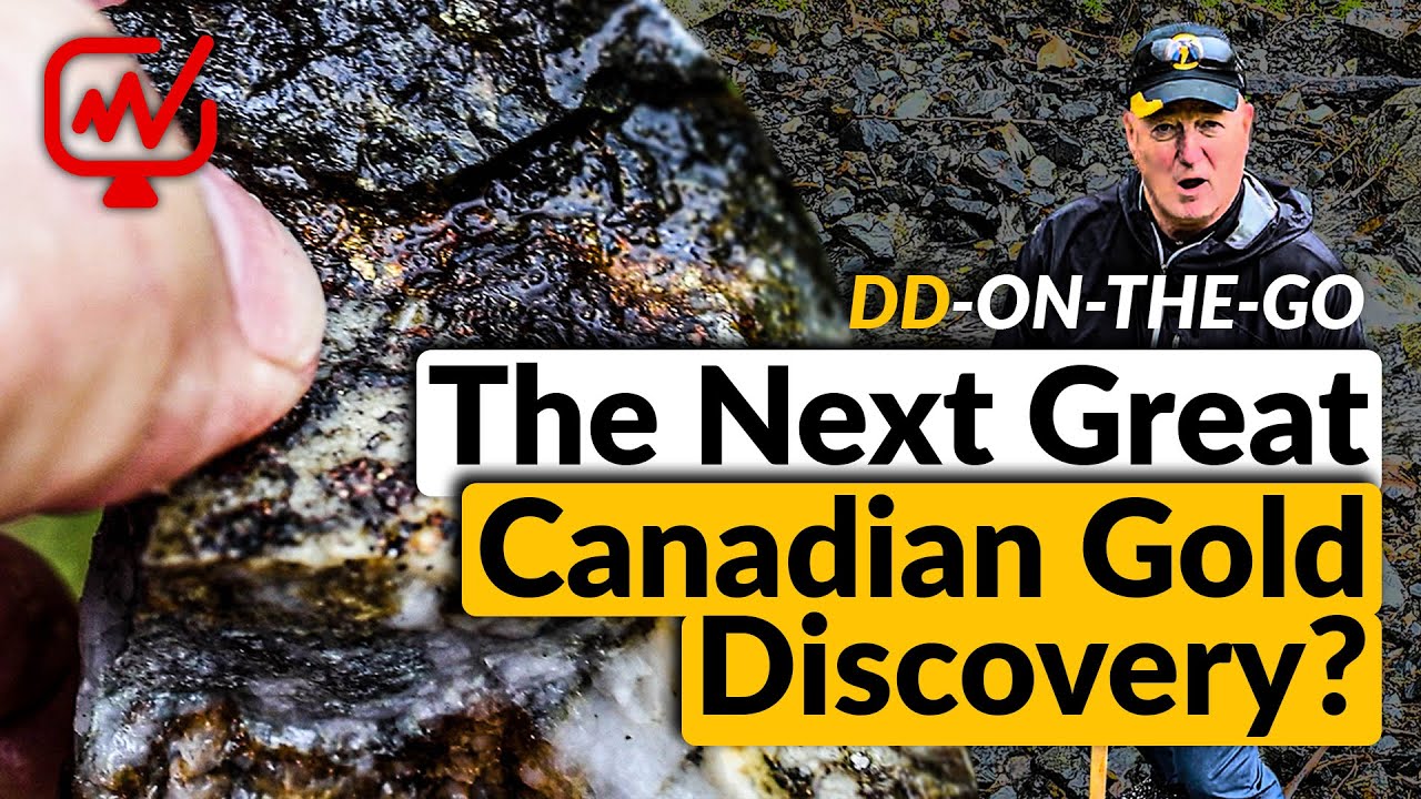 Could This Be Canada's Next Major Gold Find? Goliath Resources [DD on the Go Episode 4]