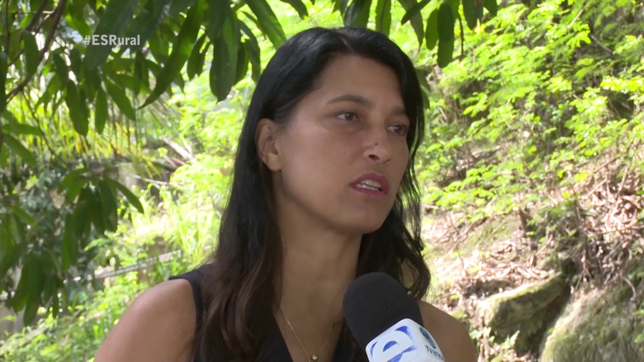 ES RURAL - A PRODUÇÃO DE PIMENTA ROSA