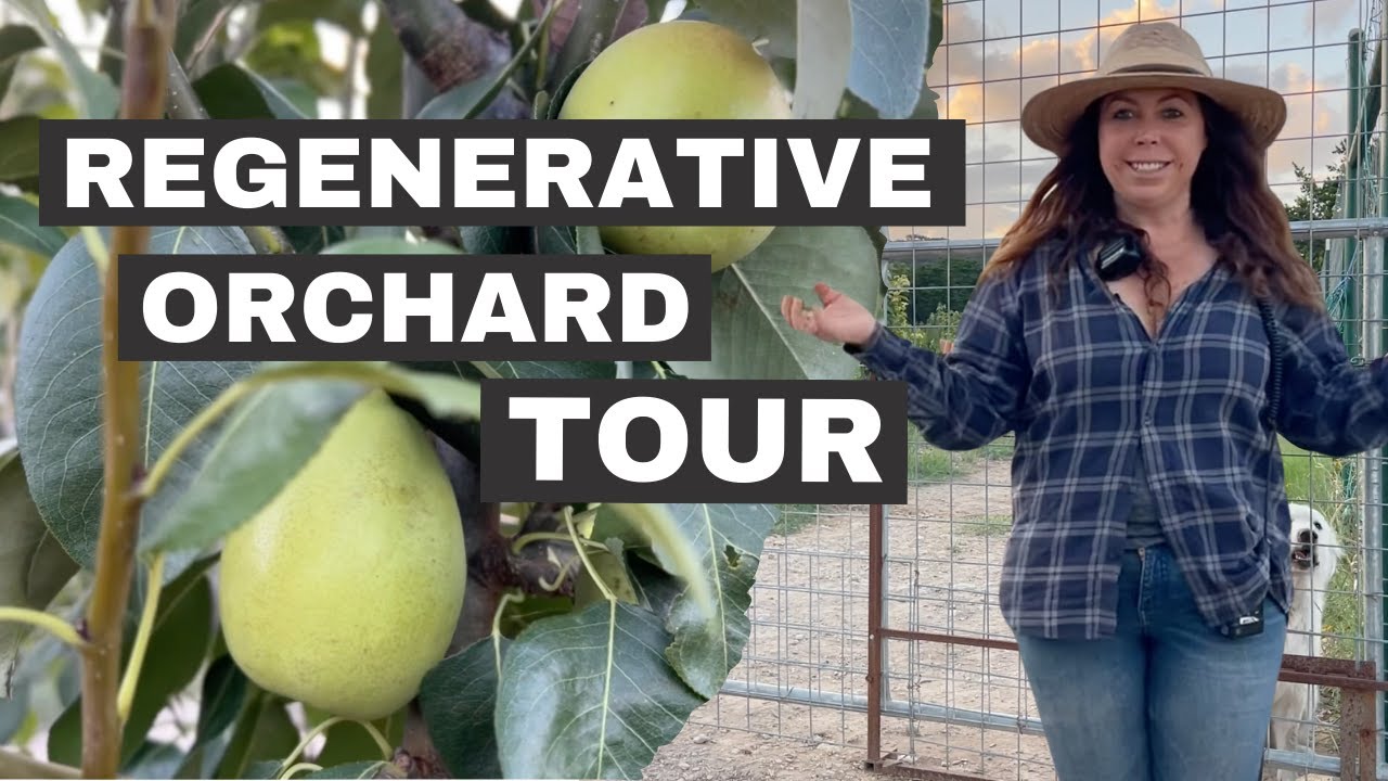 🍐 Regenerative Orchard Best Practices