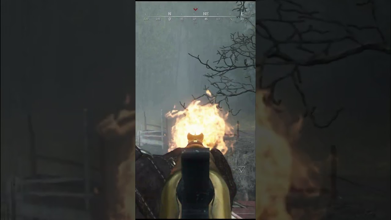 Look the barrel - Hunt: Showdown  