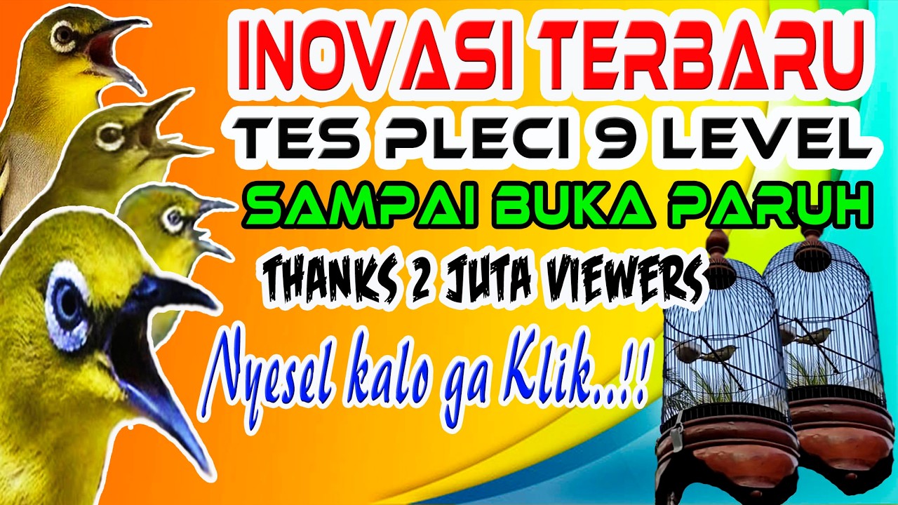 Tes Mental Pleci Terbaru, 9 Level Tes Emosi & Birahi Pleci Sampai Buka Paruh