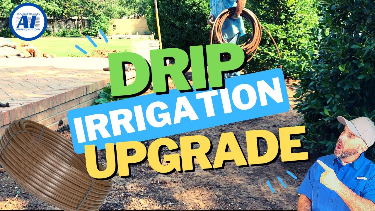 Ditch the Spray Zone and Upgrade to Drip Irrigation | Converting 12