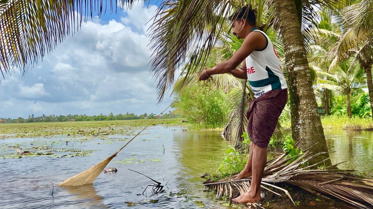 പാടം നിറയെ മീൻ ആണ് ഒന്ന് വീശിട്ടു വരാം 🔥 I Fishing I Village Fishing I Lakeman Vlogs