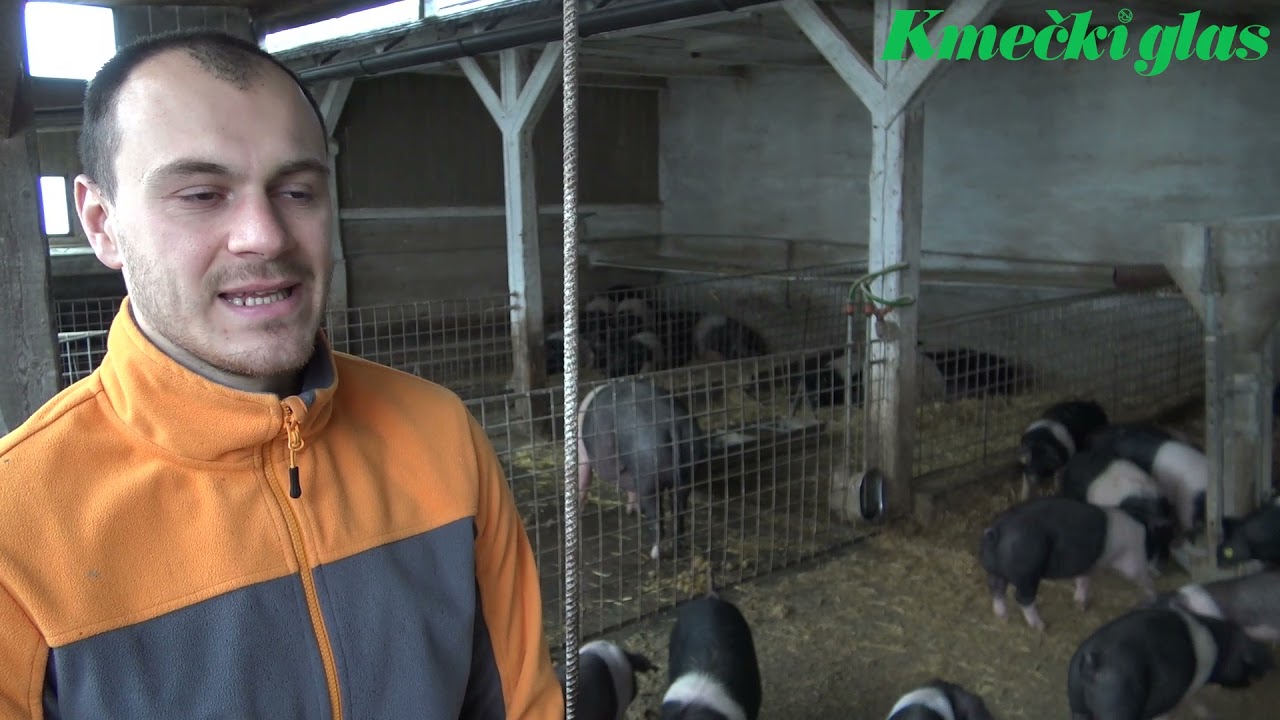 Do uspeha s trženjem brez posrednikov – Kmetija Kamenik (Čunkodar)