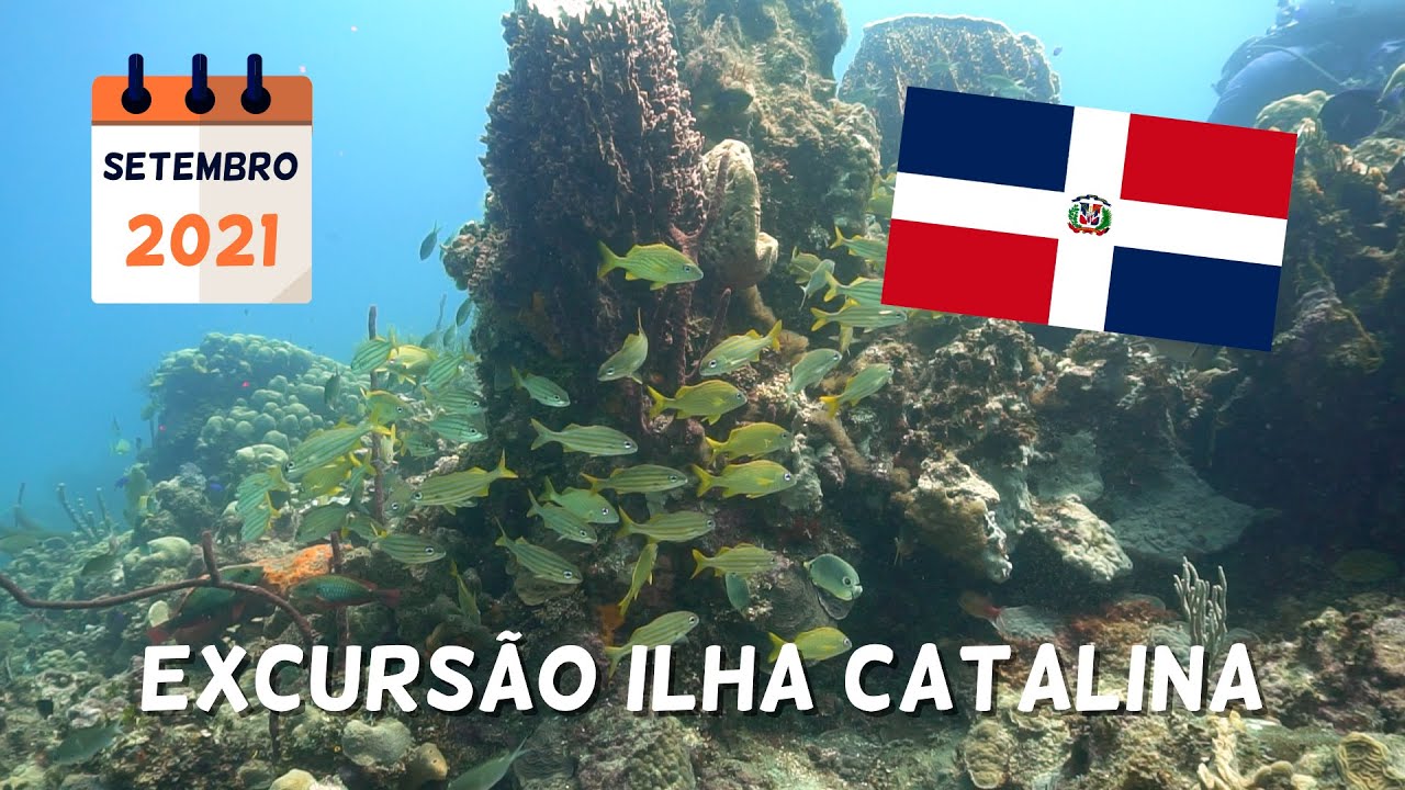 Excursión Isla Catalina | Bayahibe 21 | Republica Dominicana | Queridos Lugares