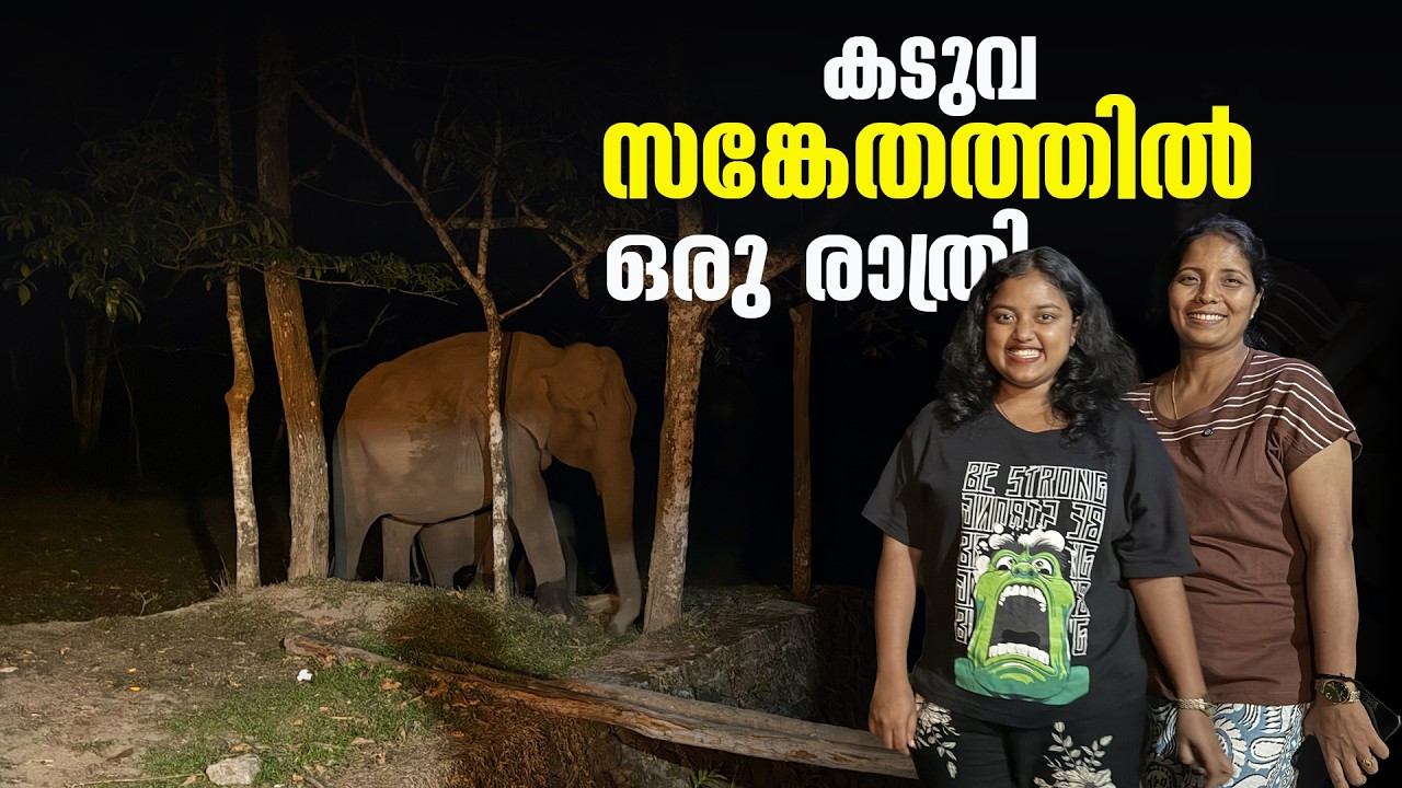 A Night in Periyar Tiger Reserve  | Kerala WildLife Trails  Puthettu Travel Vlog |