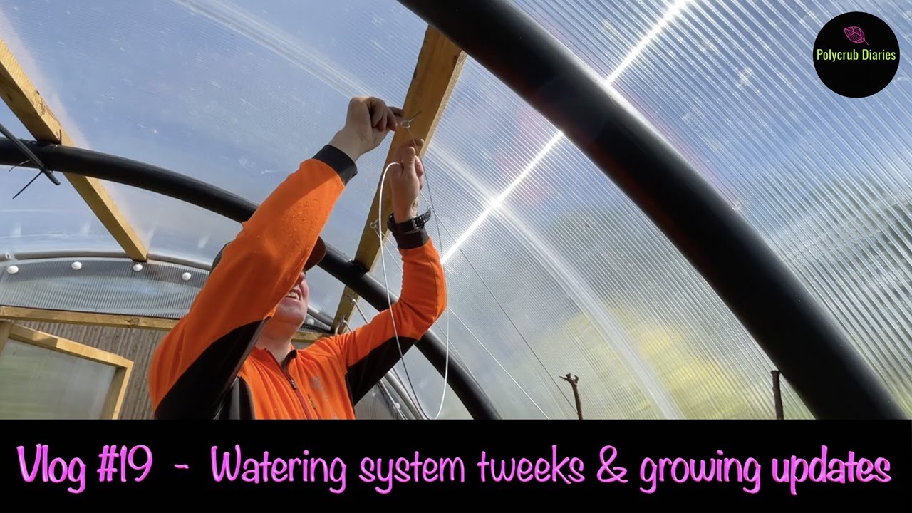 Vlog 19 - Tweeks to the Watermate Pro watering system, and installing a Trellis in my Polycrub.