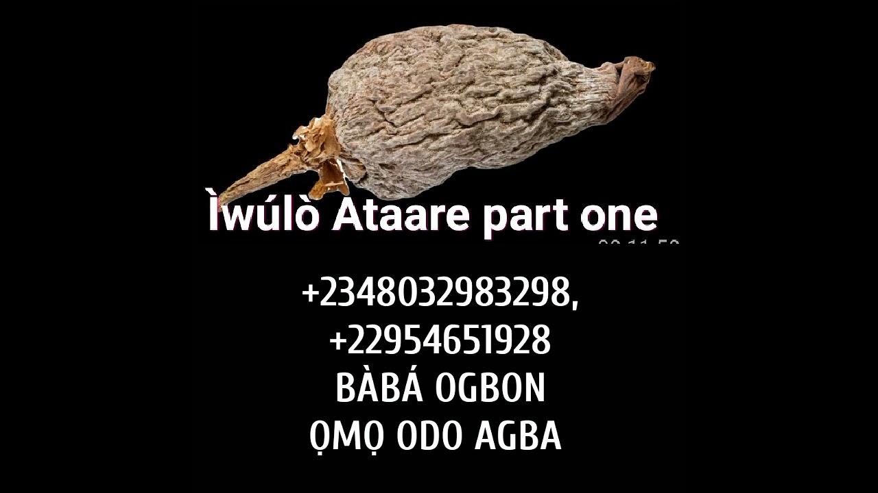 +2348032983298, +2348089038658, +22954651928, +22954651929, +2250506134943, +2250584811131