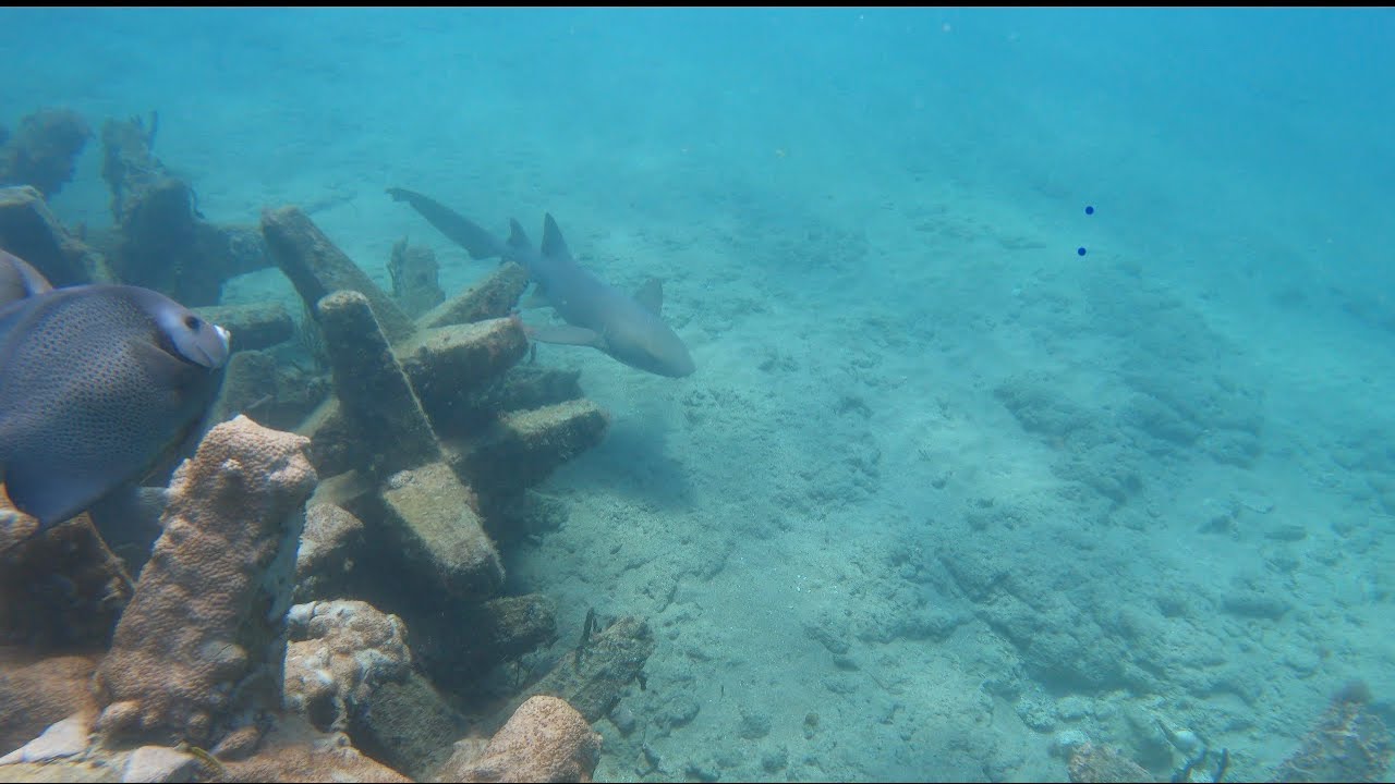 Dania Beach Erojacks Artificial Reef-How to find it and Explore
