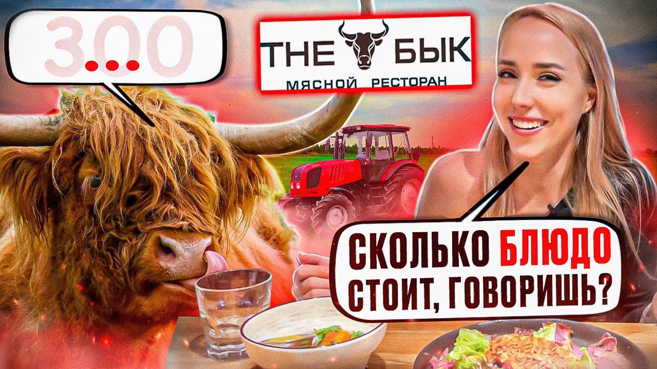 БОЛЬШОЙ ОБЗОР THE Бык. Чуть не стошнило?