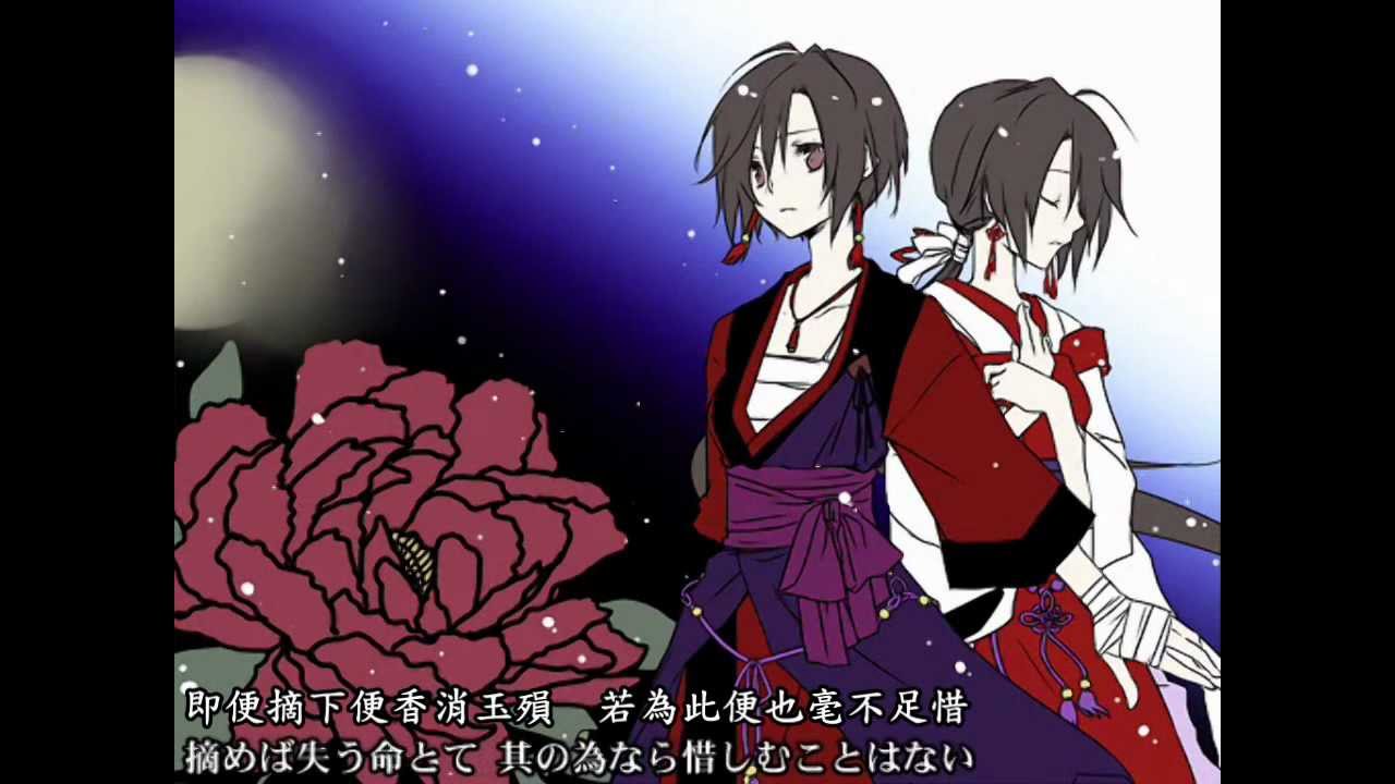 MEIKO - 大輪の花【中文字幕】