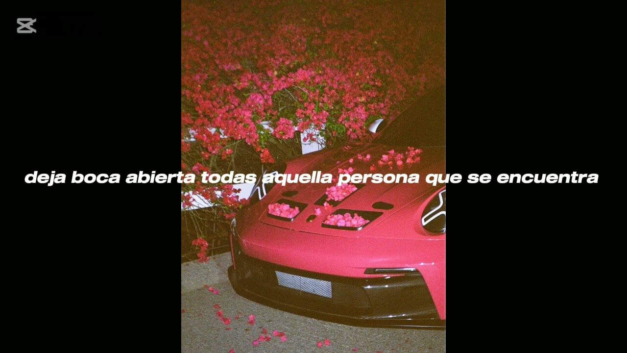 HITS S.U.R- MAMACITA [Video lyric]