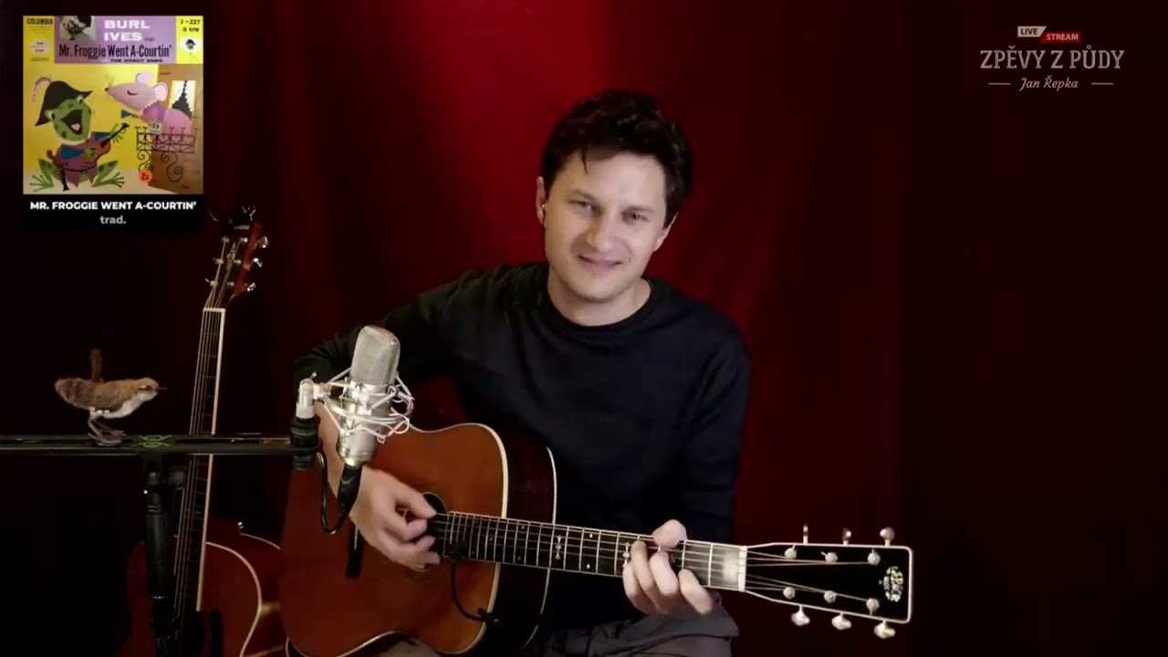 Pana Žabku čeká velký skok / Mr. Froggie Went a-Courtin' (trad.) - Jan Řepka