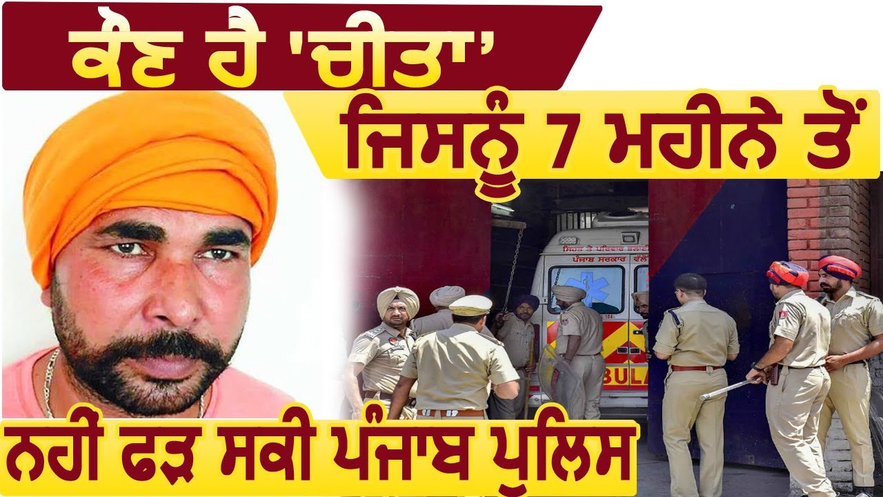 कौन है Cheetah ?  जिसे 7 महीने से नहीं पकड़ पाई Punjab Police
