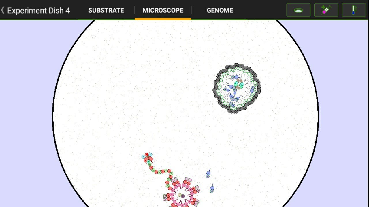 Cell stuff || Cell Lab
