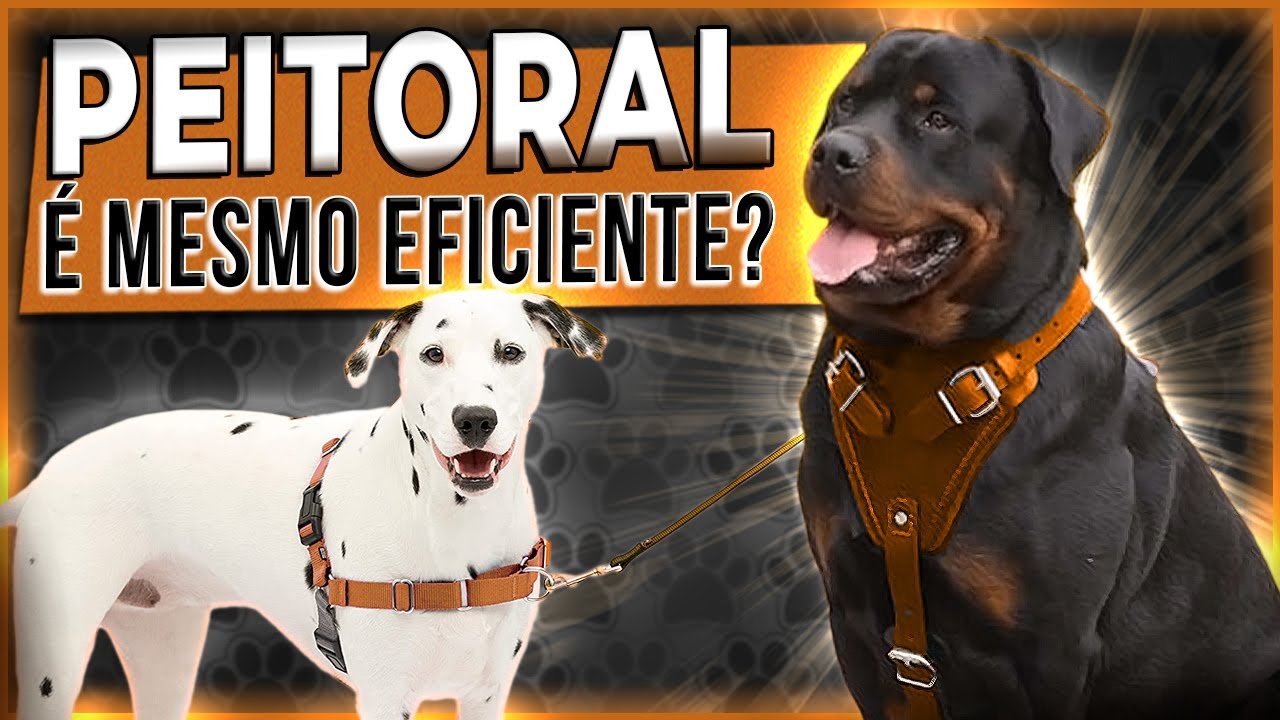 Peitoral / Peitoral Anti Puxão - Funciona? Como Utilizar? Pode machucar o cão? #peitoralantipuxao