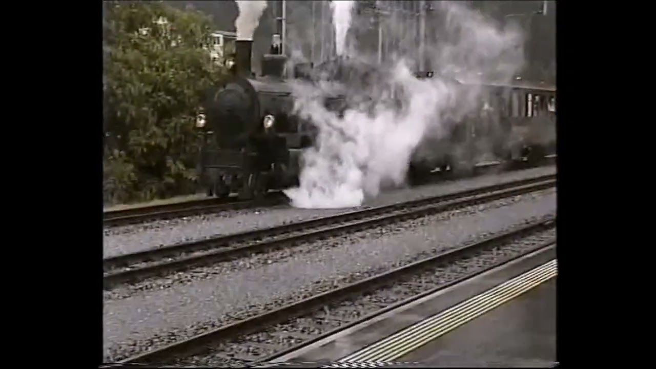Mon maître et moi dans les Grisons 2008 -  Vidéo de Michel W