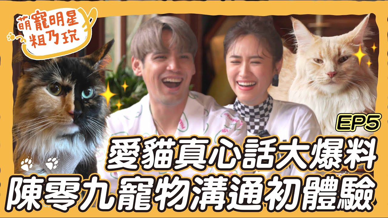 [SUB] EP5 超萌貓咪們粗乃玩啦！ 陳零九 Sandy 寵物溝通初體驗 橘丸哸哸爆料五堅情秘辛！ 呵喜真正愛的是貓？【 萌寵明星粗乃玩 】寵物溝通大爆料