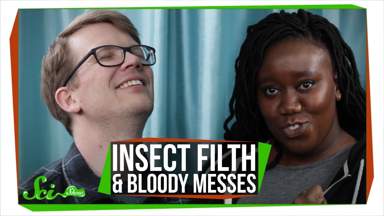 Insect Filth and Bloody Messes with Evelyn From The Internets!