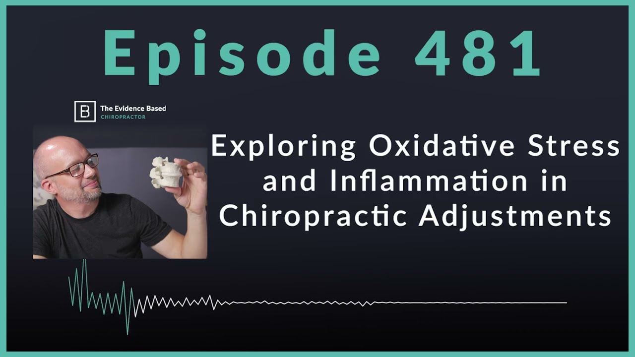 Do spinal adjustments impact inflammation and oxidative stress? 