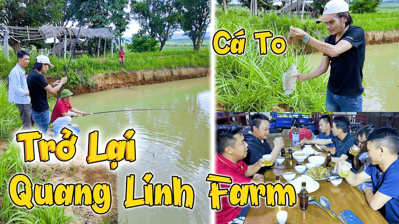 Cả Team Trở Lại QUANG LINH FARM Quyết Tâm Săn Lùng Bằng Được Sản Vật Này! Giờ Khác Quá @CongGiap 