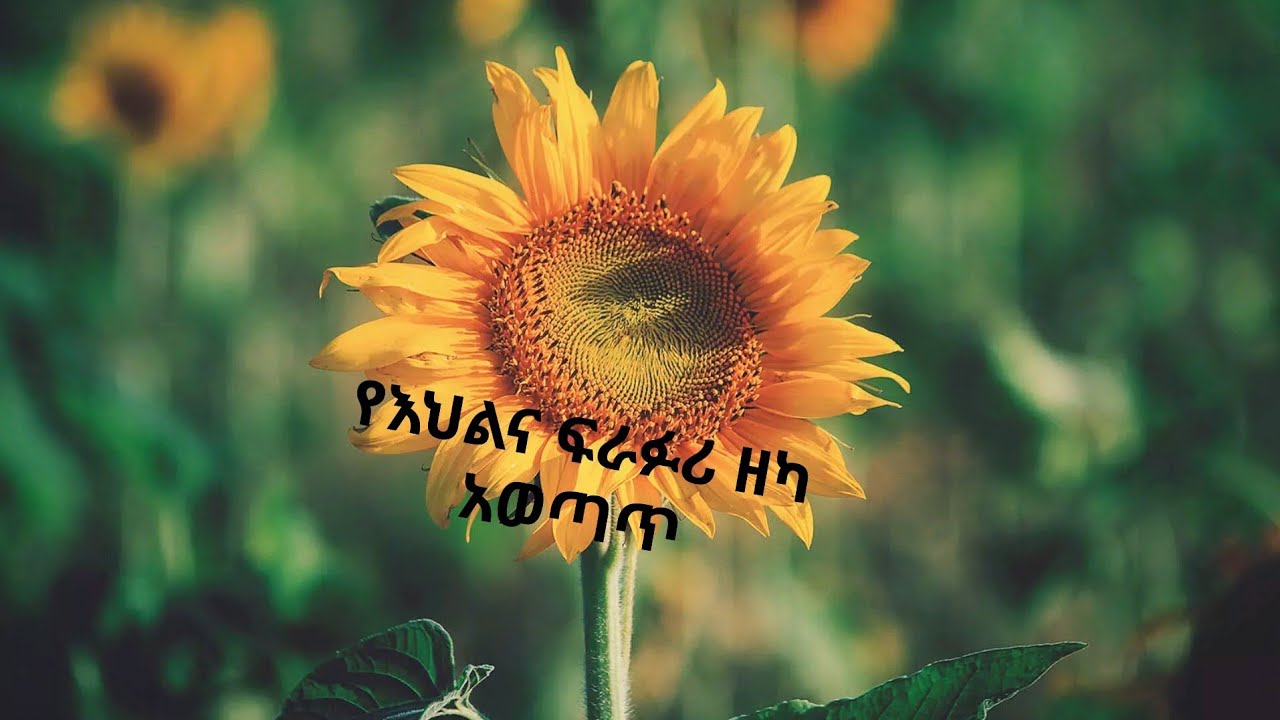 የእህልና ፉራፉሪ ዘካ አወጣጥ