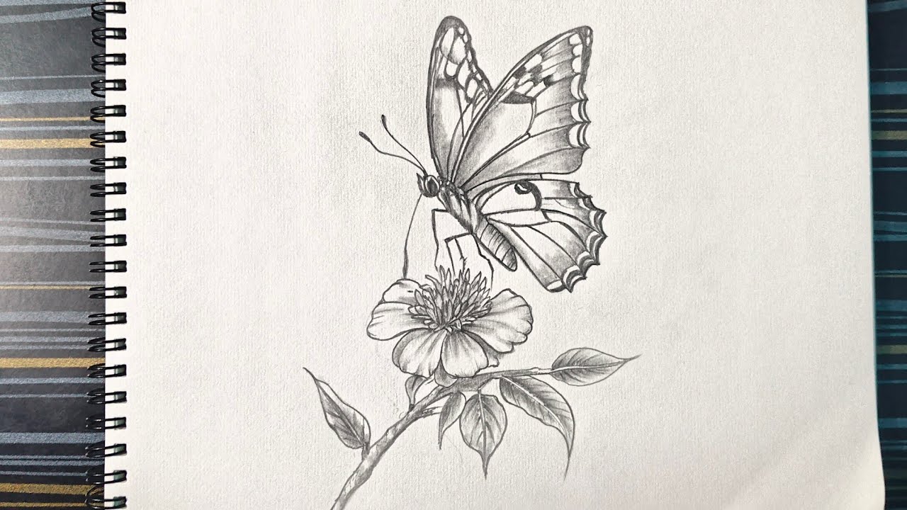 Drawing a butterfly with flower/How to draw a butterfly 🦋
