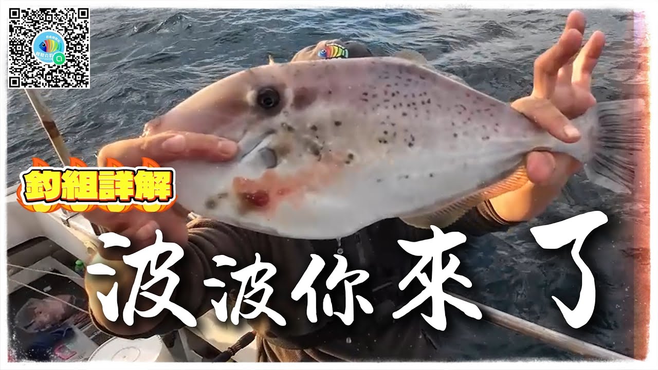 【EP43波波來了】四年不見了~ 你還好嗎? 剝皮魚大組釣組分享(非推薦)… by 釣魚輕鬆玩 feat. 海狼8號 #剝皮魚 #船釣 #波波