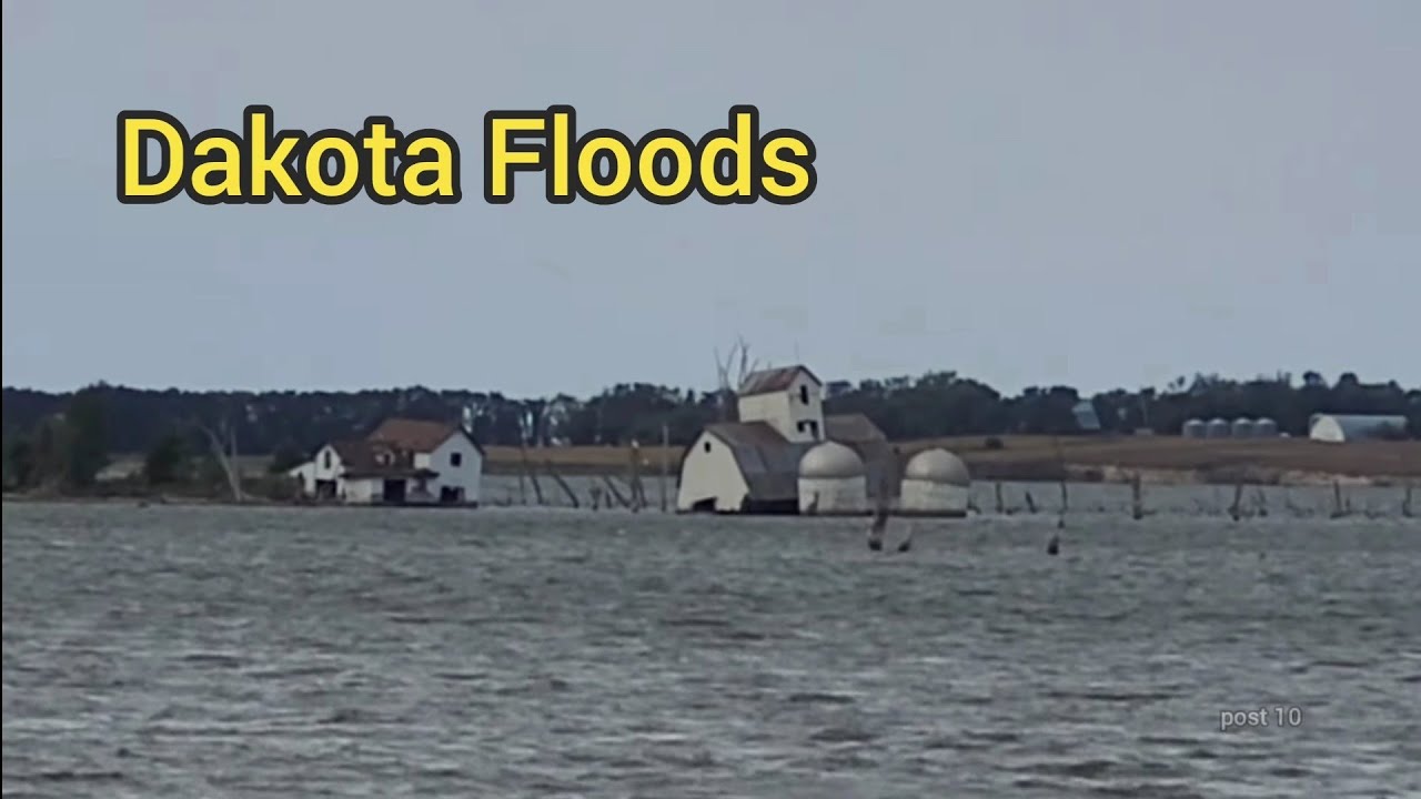 South Dakota Muskrat And Beaver Lodges And More