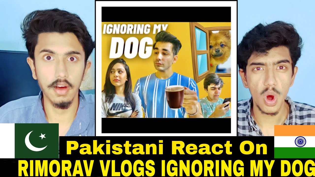 Pakistani React On | Rimorav Vlogs | Ignoring My Dog | Reaction Box