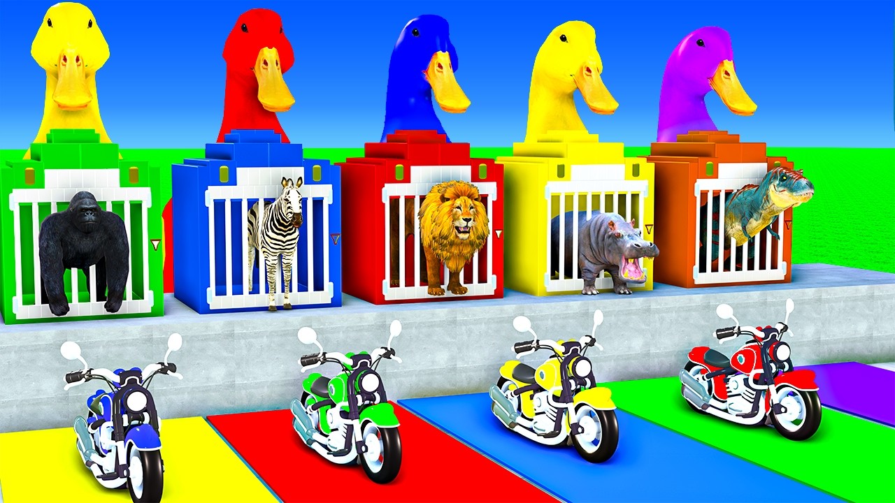 Long Slide Game With Hippopotamus Cow Tiger Elephant Gorilla - 3D Animal Game - Funny 3D Animals