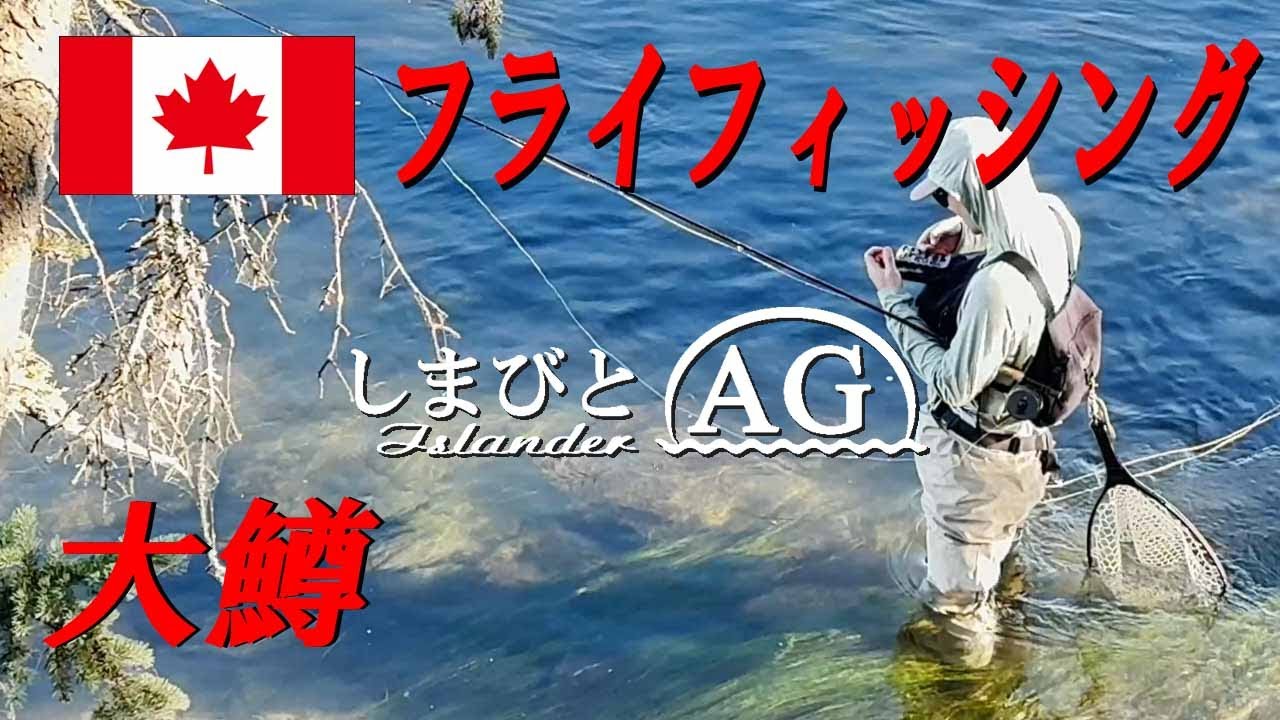 【カナダ田舎暮らし】フライフィッシング BOW RIVER。大物レインボウトラウトの銘川、カナダ、アルバータ州