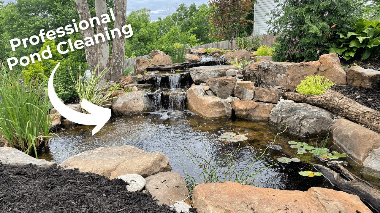 Professional Pond Cleaning | How to Drain & Clean your Pond