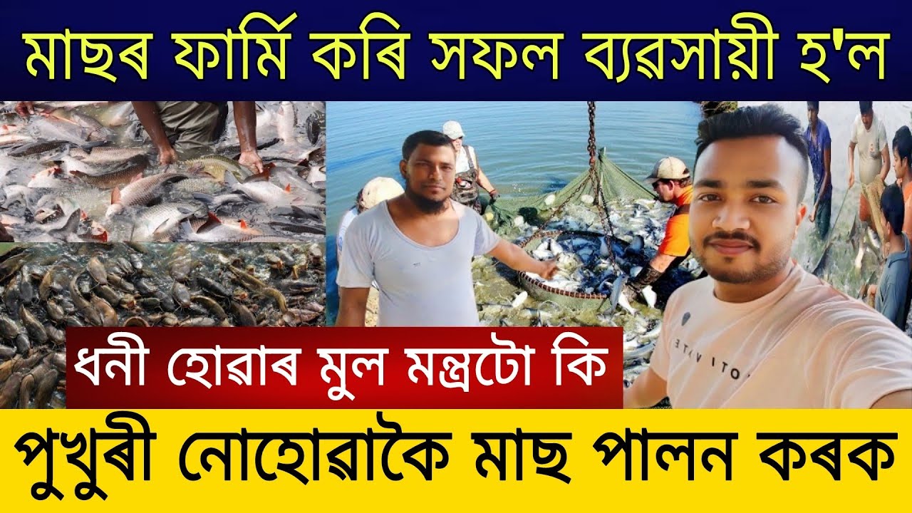 মাছৰ ফাৰ্ম খুলি | Business Ideas Assam | Assam Farming Business Ideas | Farming in Assam