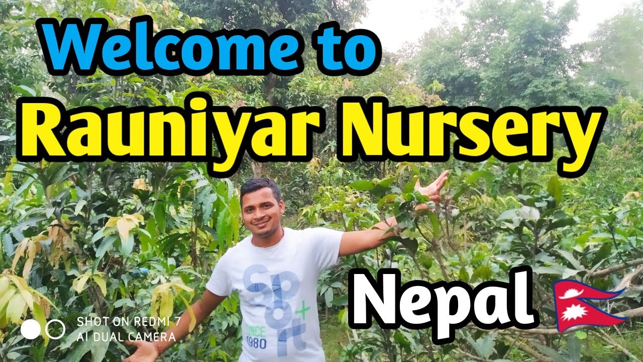 Rauniyar Nursery in Birtiprastoka, Rautahat ll Nepal Bagwani ll Best ideas for starting a  business