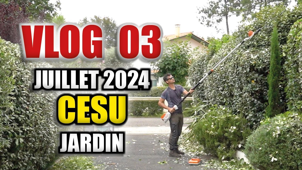 Présentation de mon Taille Haie sur Perche - VLOG 03 - Jardinier Cesu