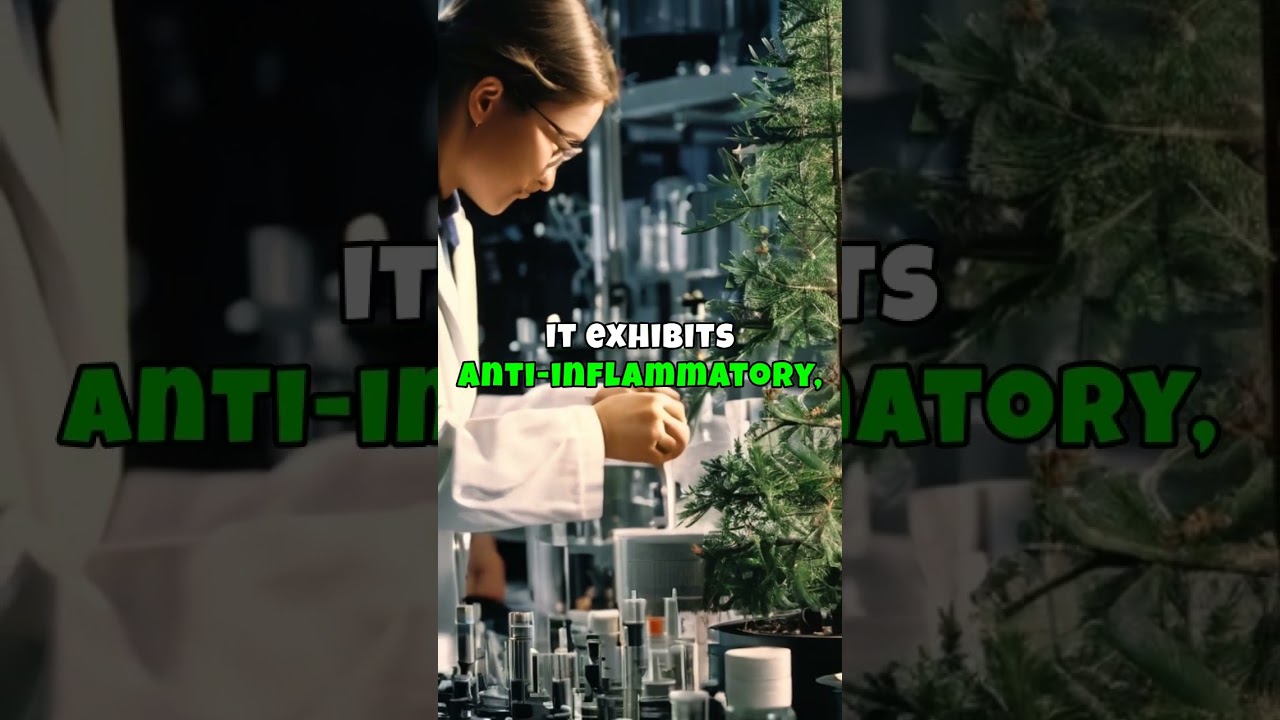 Unlocking Nature's Secrets: The Enchanting World of Pinene & Its Hidden Powers