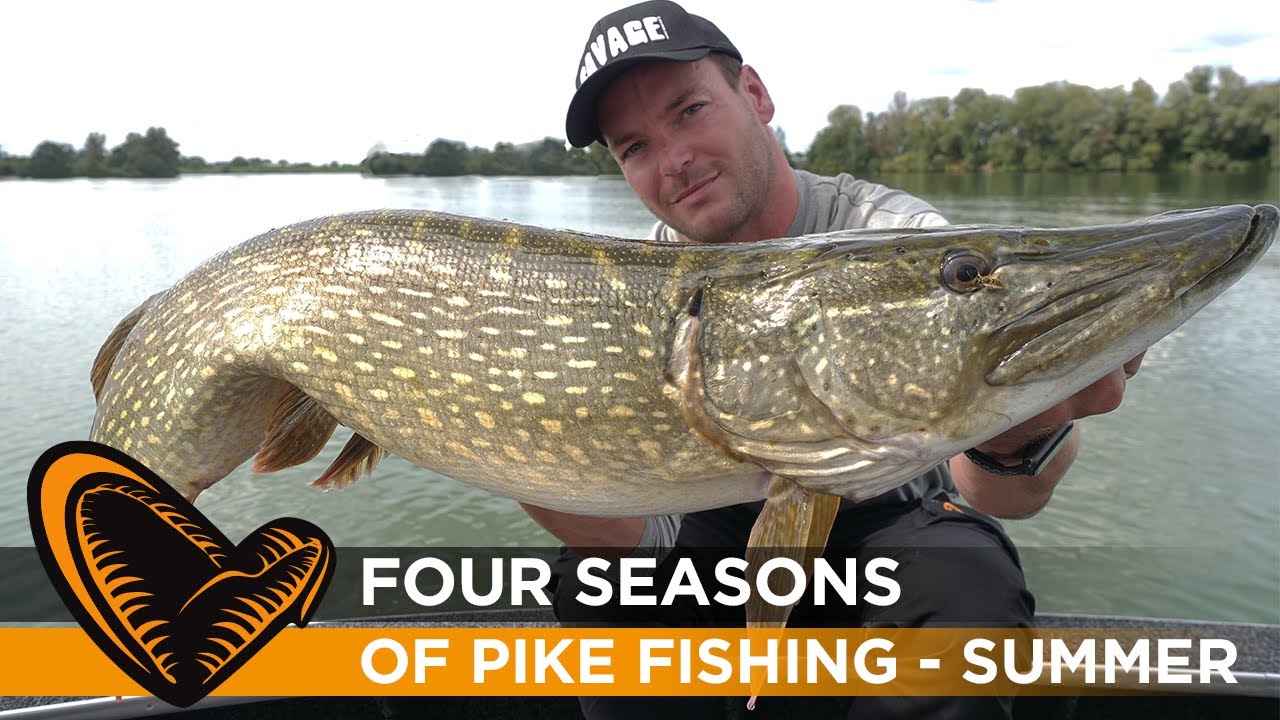 Four Seasons of Pike Fishing   Episode #2  - Summer with Sean Wit